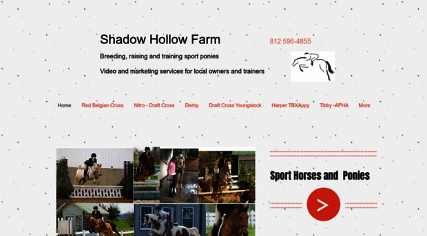 shadowhollowfarm.com