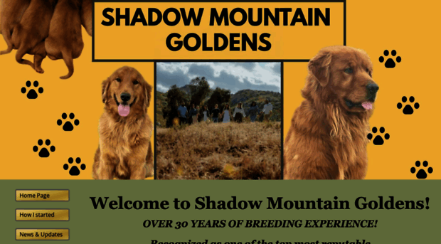 shadowmountaingoldens.com