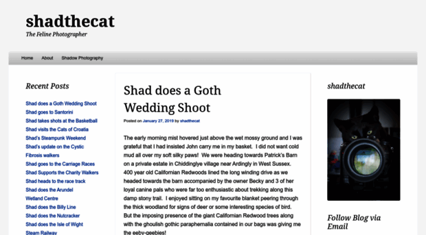 shadthecat.com