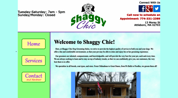 shaggychic.comcastbiz.net