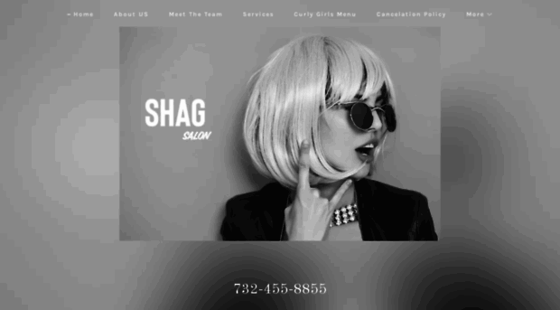 shagsalonavon.com