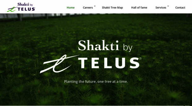 shaktireforestation.com