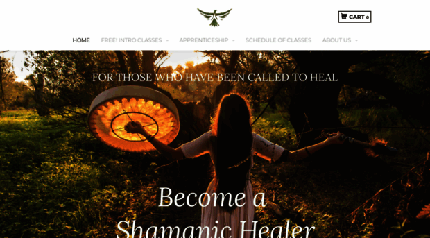 shamanic-training.com