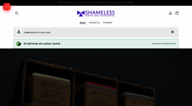 shamelessbidets.com