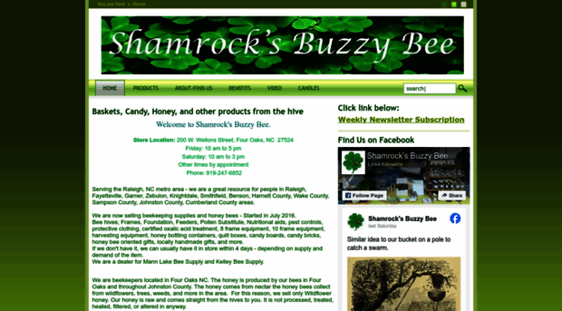 shamrocksbuzzybee.com