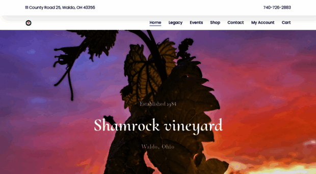 shamrockvineyard.com