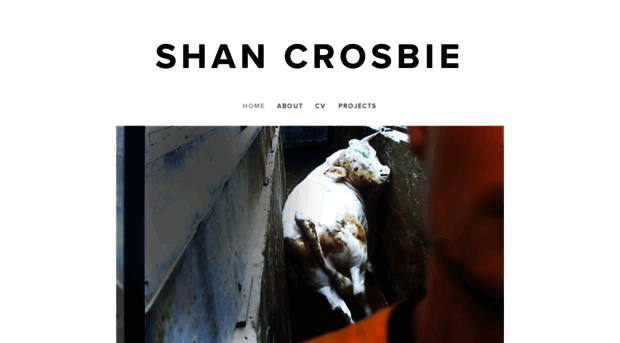 shan-crosbie.com