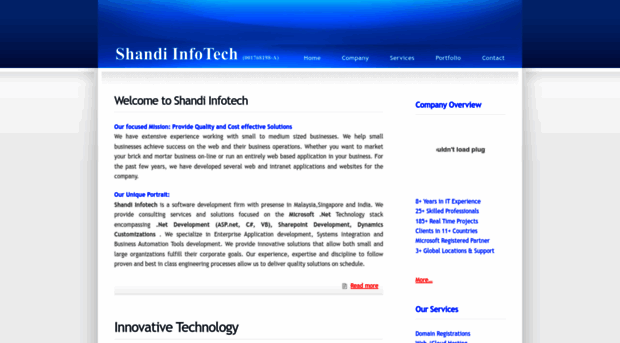 shandiinfotech.com