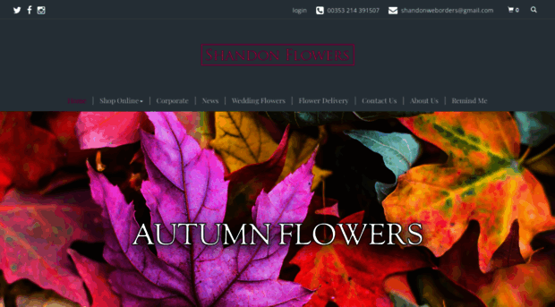 shandonflowers.com