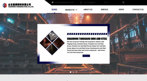 shandongtgsteel.com