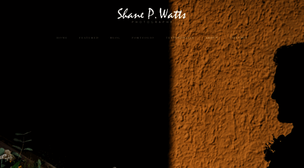 shanepwatts.com