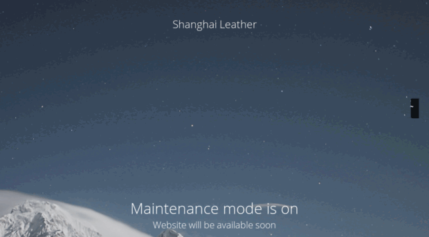 shanghaileather.cn