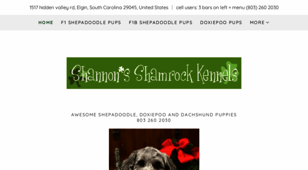 shannons-shamrock-kennels.com