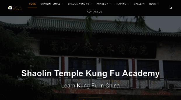 shaolinacademy.net