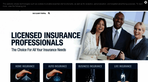 shapiroinsurancegroup.com