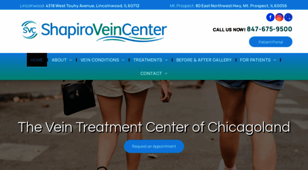 shapirovein.com