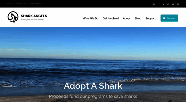 sharkangels.com