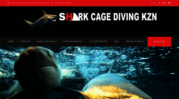 sharkcagedivingkzn.com