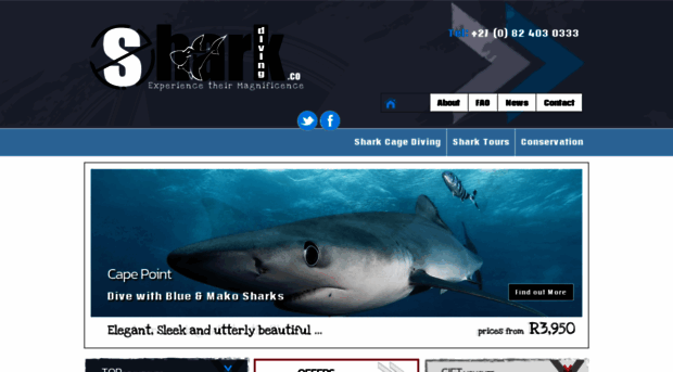 sharkdiving.co