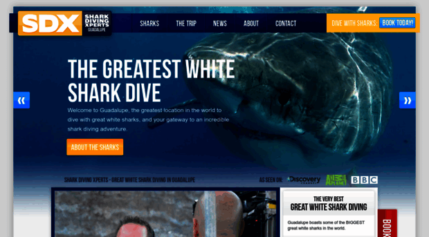 sharkdivingxperts.com