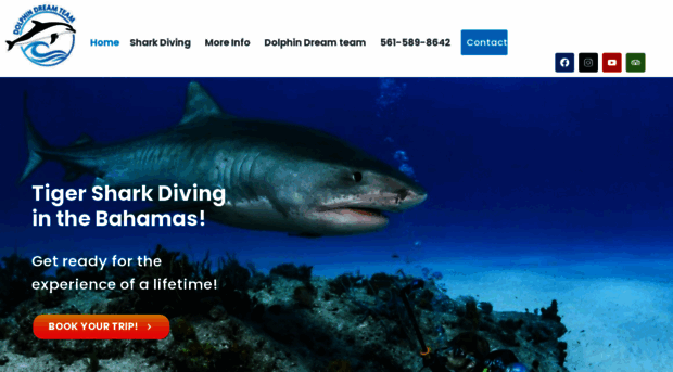 sharkexpedition.com