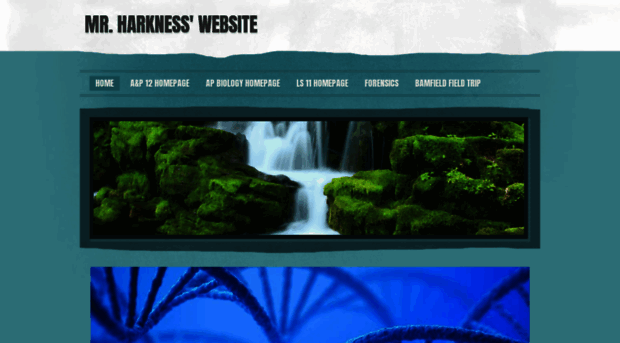 sharkness.weebly.com