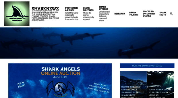 sharknewz.com