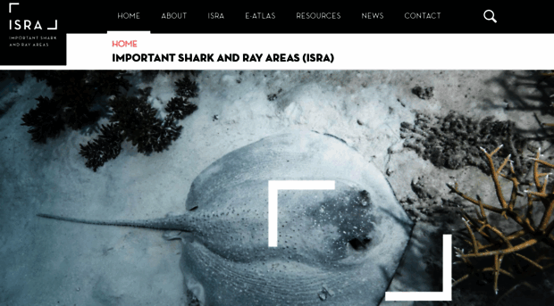 sharkrayareas.org