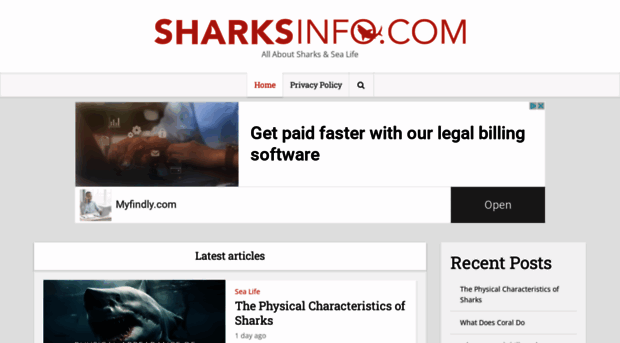 sharksinfo.com