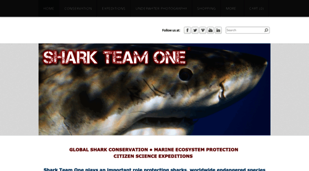 sharkteamone.org