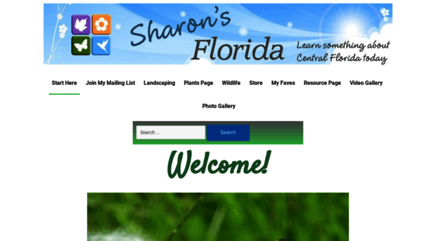 sharonsflorida.com