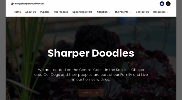 sharperdoodles.com