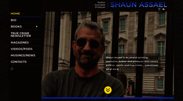 shaunassael.com