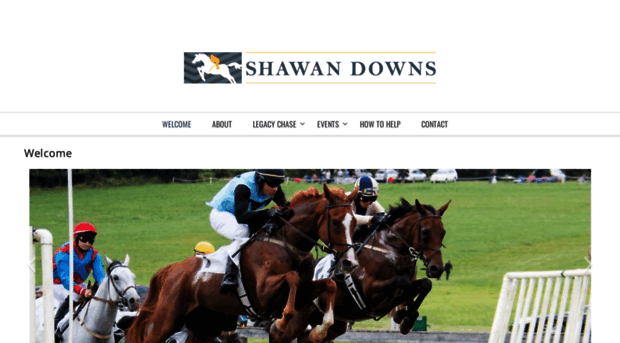 shawandowns.com