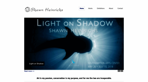 shawnheinrichs.com