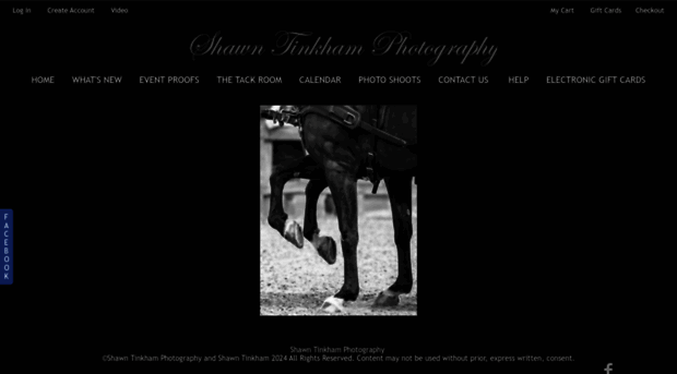 shawntinkhamphotography.com