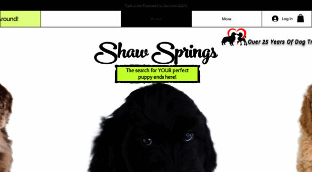 shawspringscanines.com