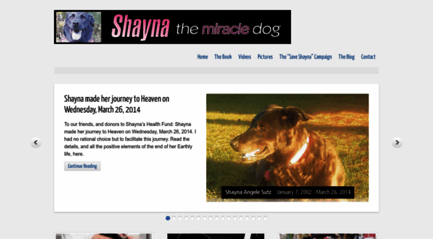 shaynathemiracledog.com