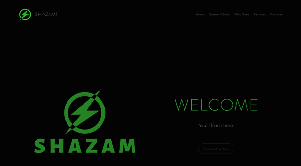 shazamaccounting.com