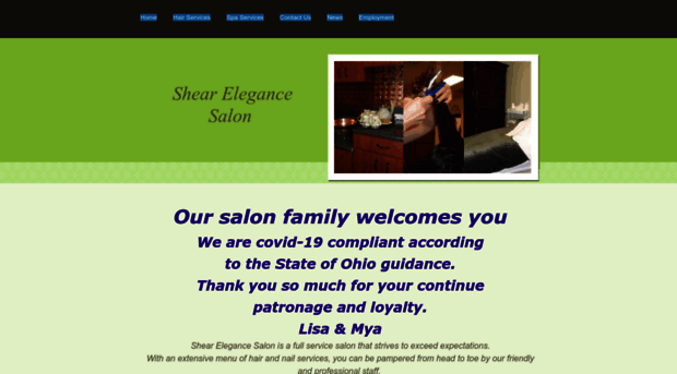 shearelegancesalonspa.com