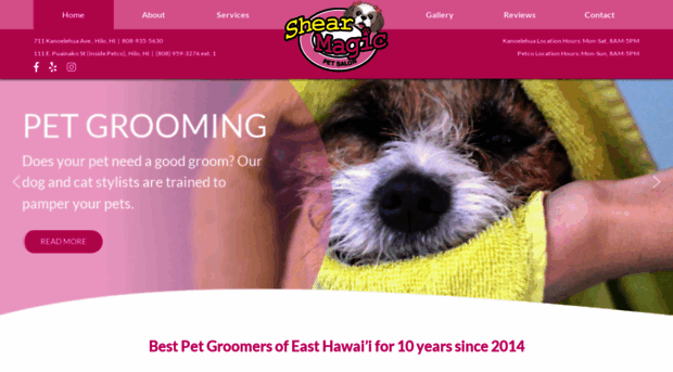 shearmagicpetsalon.com