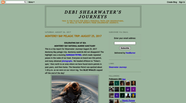 shearwaterjourneys.blogspot.com