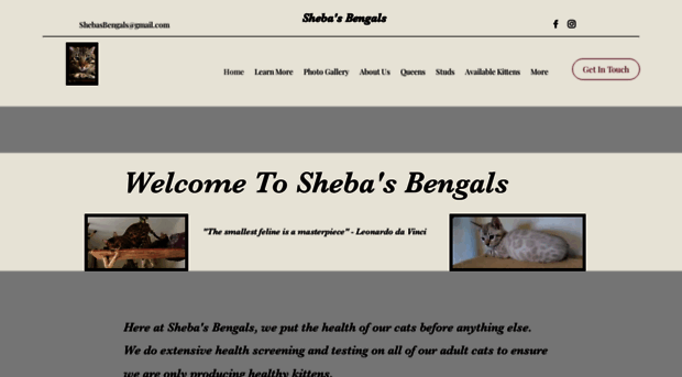 shebasbengals.com