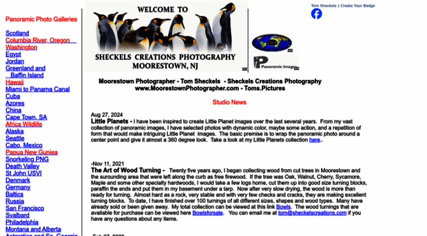 sheckelscreations.com