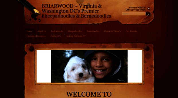 sheepadoodlepuppiesforsale.com