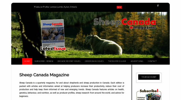 sheepcanada.com