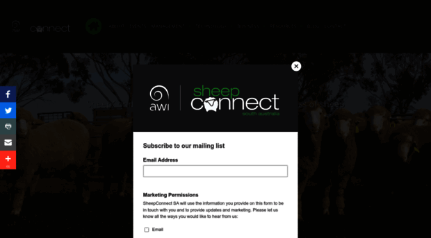sheepconnectsa.com.au