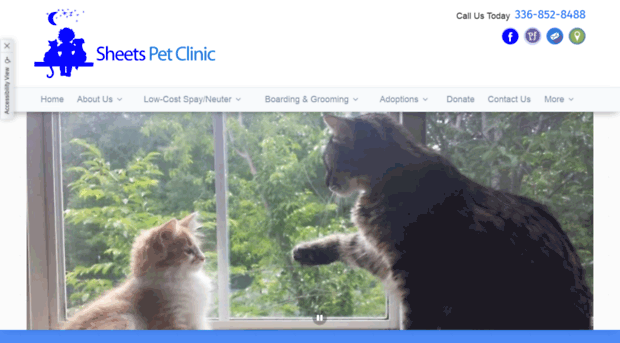 sheetspetclinic.com