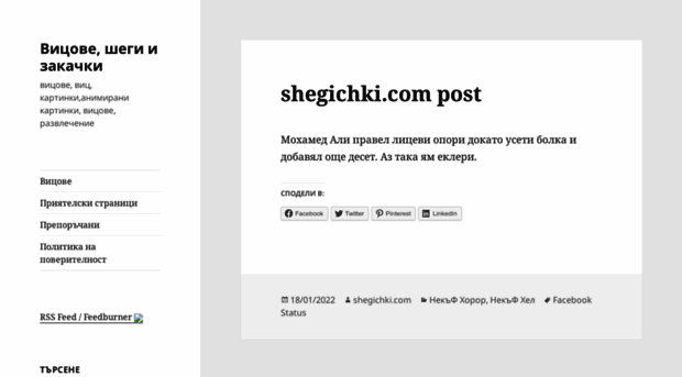 shegichki.com