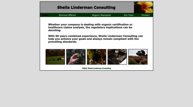 sheilalinderman.com